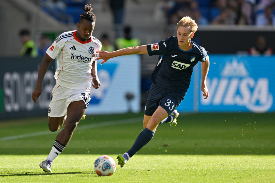 霍芬海姆队 霍芬海姆队